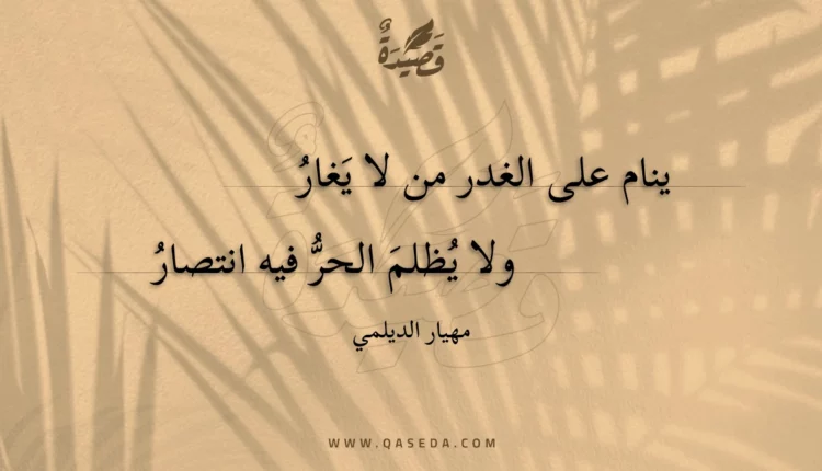 قصيدة ينام على الغدر من لا يغار