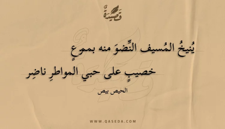 قصيدة ينيخ المسيف النضو منه بممرع