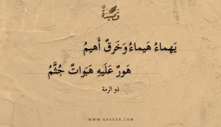 قصيدة يهماء هيماء وخرق أهيم