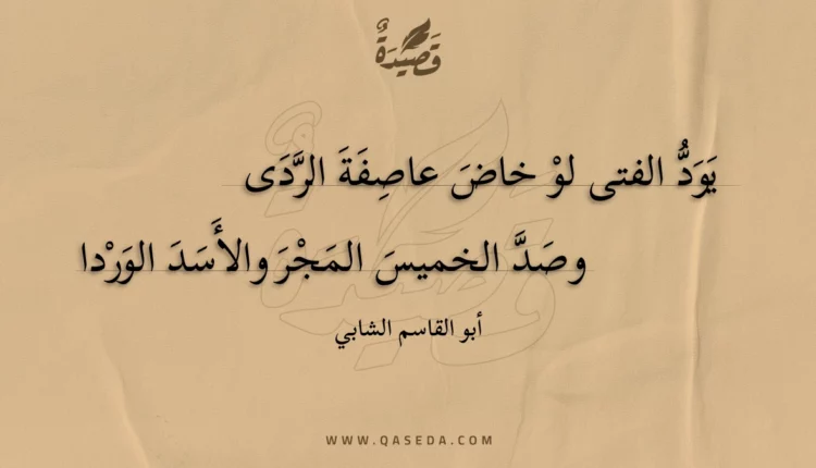 قصيدة يود الفتى لو خاض عاصفة الردى