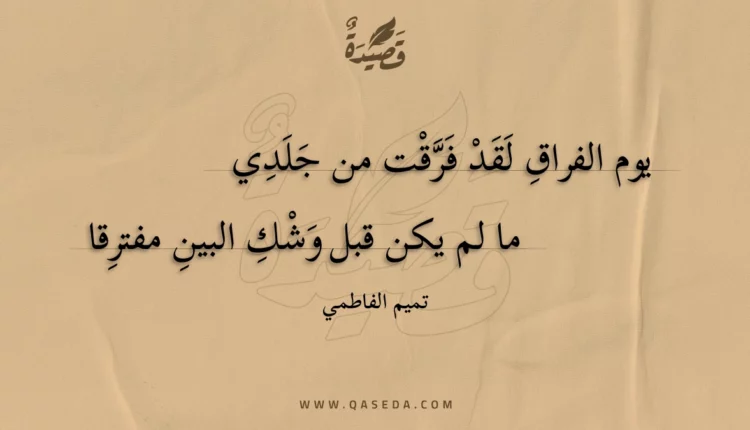 قصيدة يوم الفراق لقد فرقت من جلدي